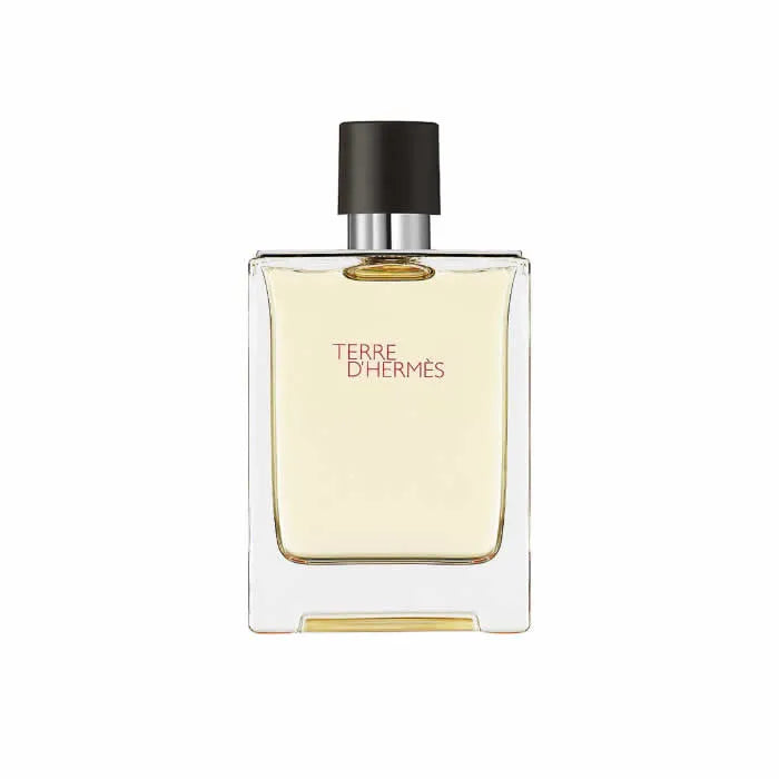 Image 2 : Vue de face du parfum Hermès Terre d'Hermès EDT Homme 200 ml, flacon en verre clair au jus jaune pâle doré, sobre et élégant — Delvale
