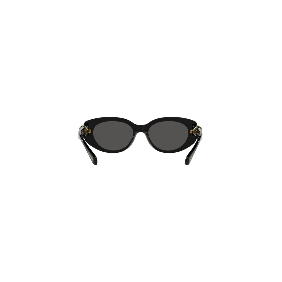 Swarovski Femme Lunettes De Soleil
