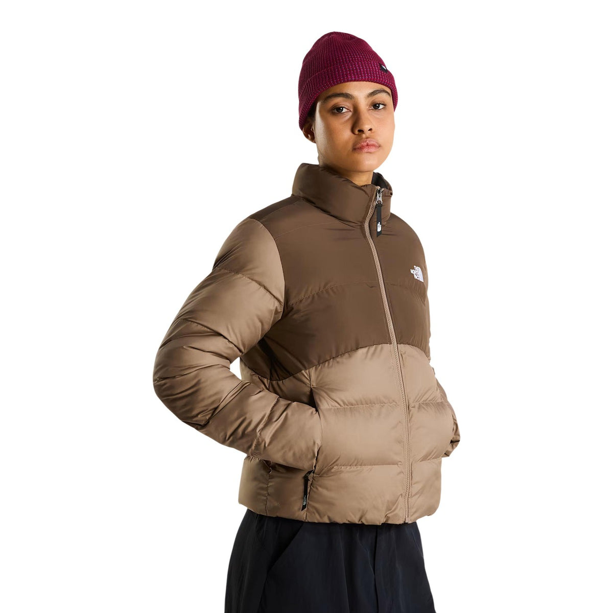 The North Face Femme Vestes