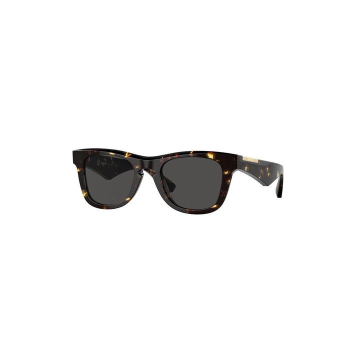 Burberry Homme Lunettes De Soleil
