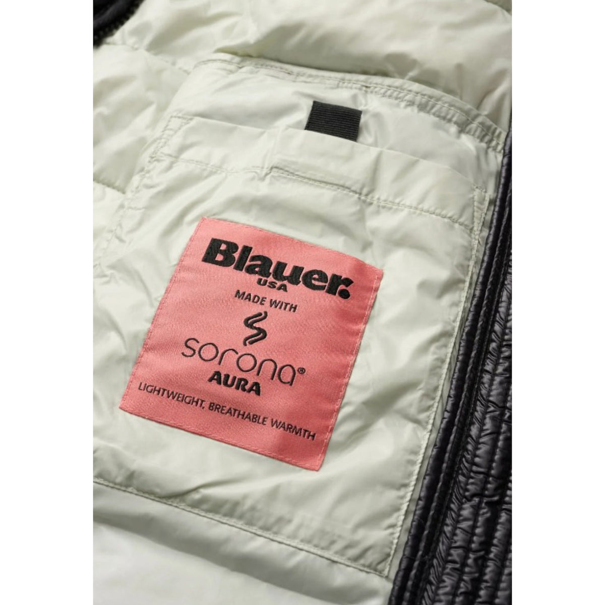 Blauer. Femme Jaquettes