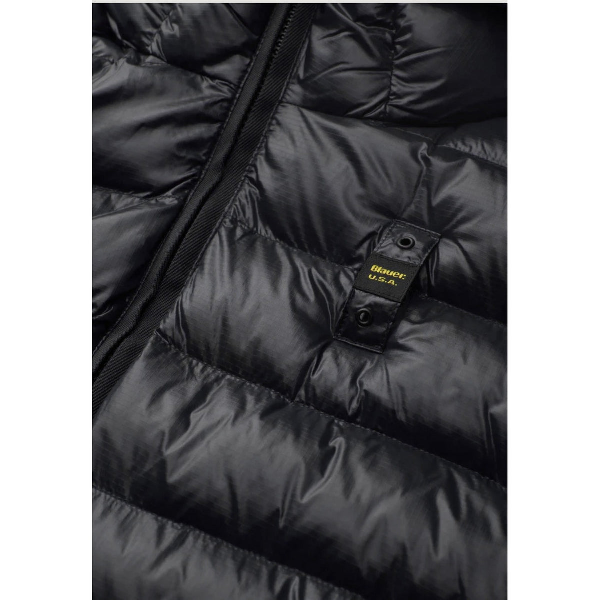 Blauer. Homme Jaquettes