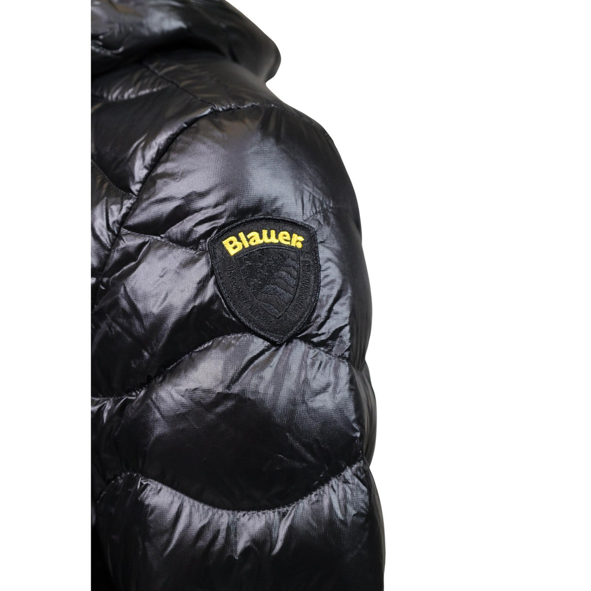 Blauer. Homme Vestes