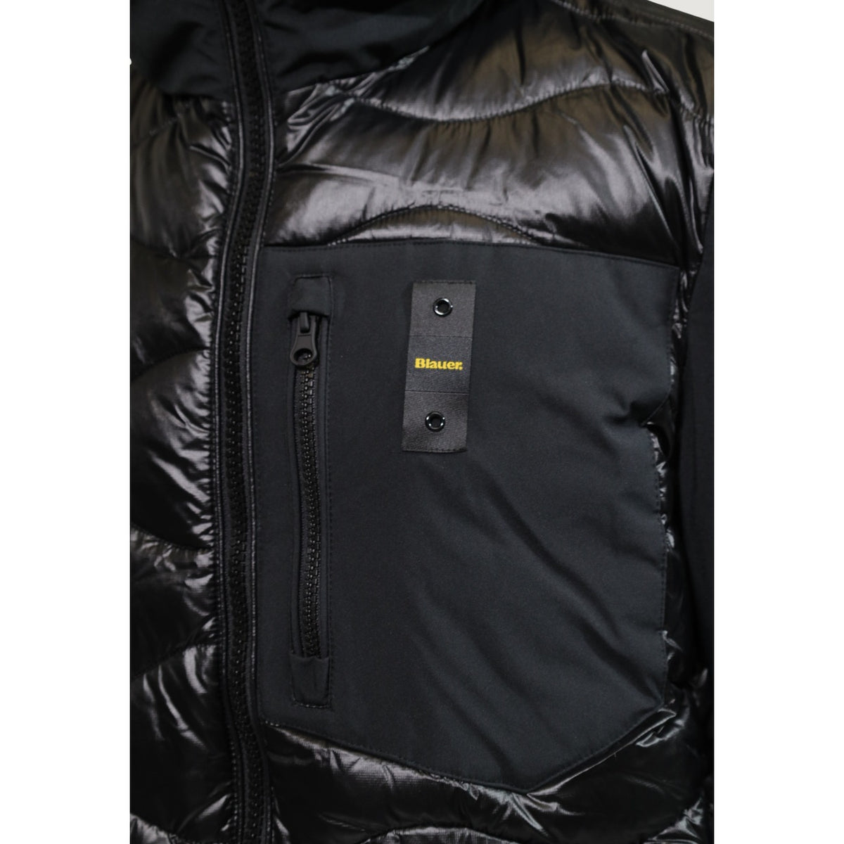Blauer. Homme Jaquettes