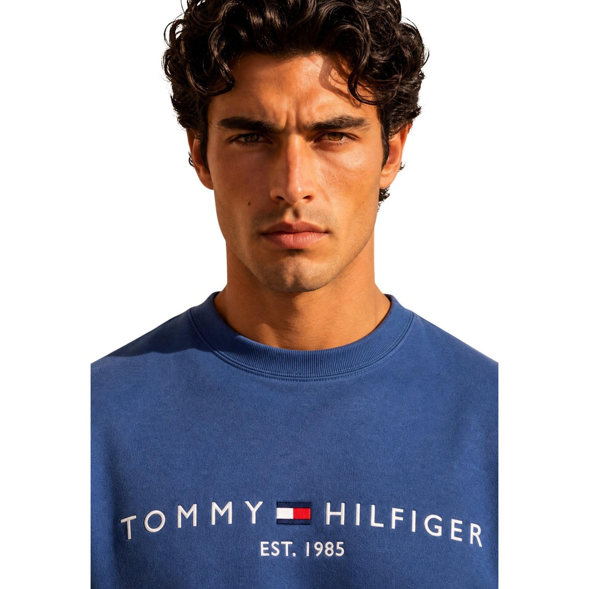Tommy Hilfiger Homme Sweatshirts