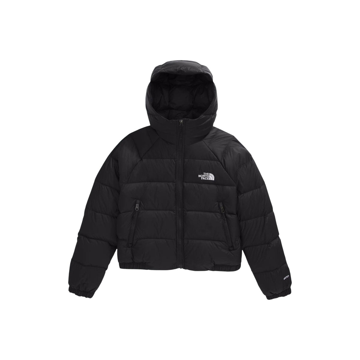 The North Face Femme Vestes