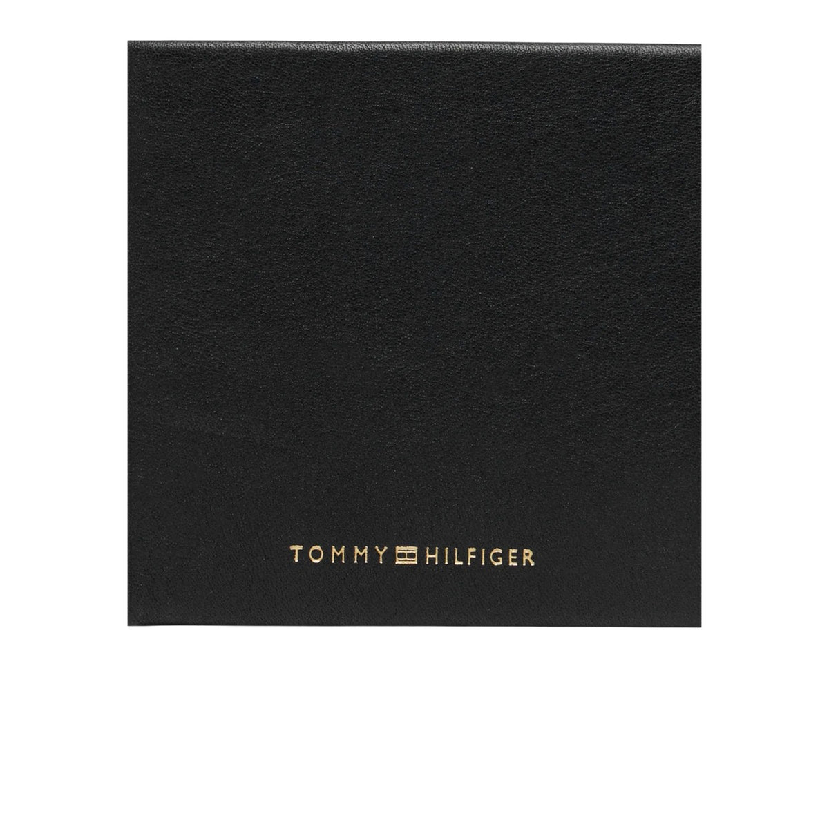 Tommy Hilfiger Homme Portefeuilles