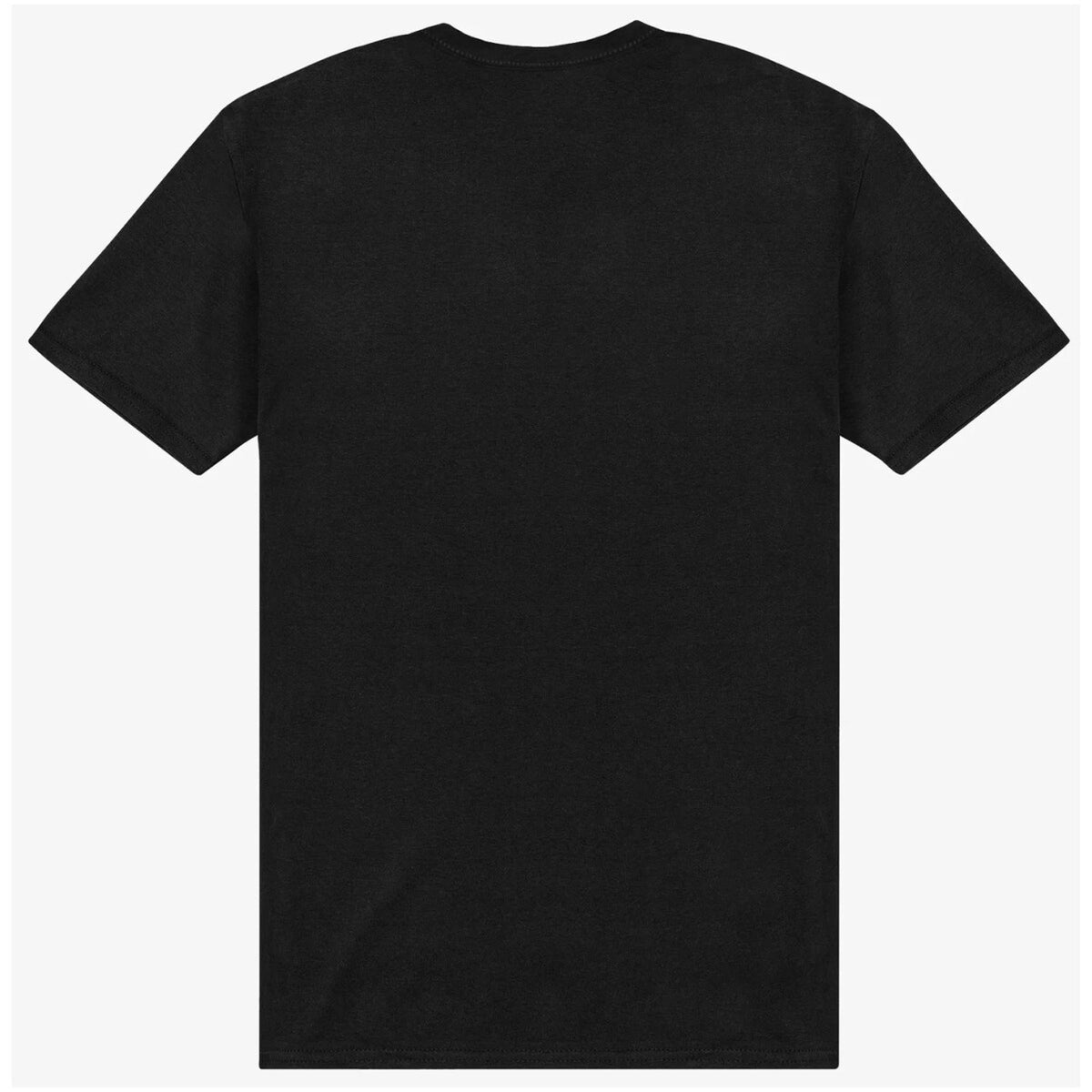 T-shirts voor heren van The North Face