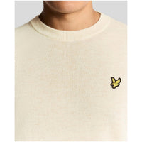 Image 3 : Pull Lyle & Scott homme beige porté, coupe classique et confort optimal — Delvale