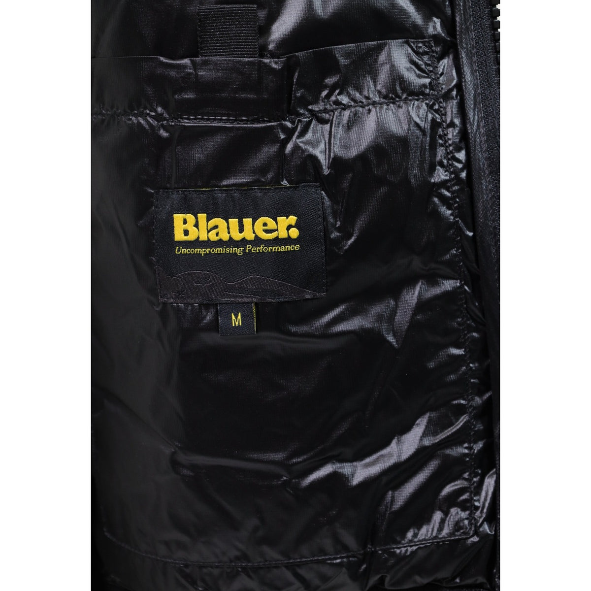 Blauer. Homme Jaquettes