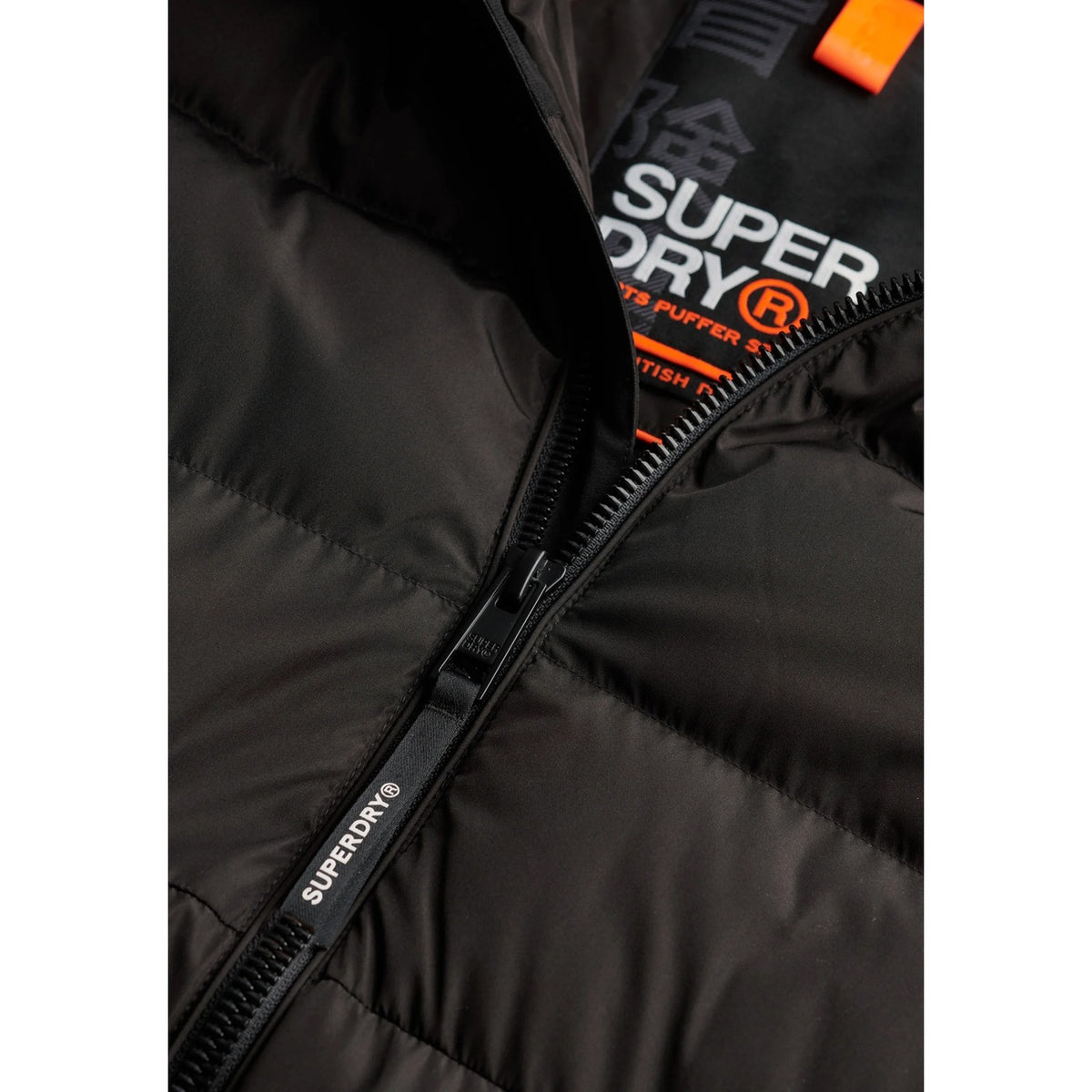 Superdry Homme Vestes