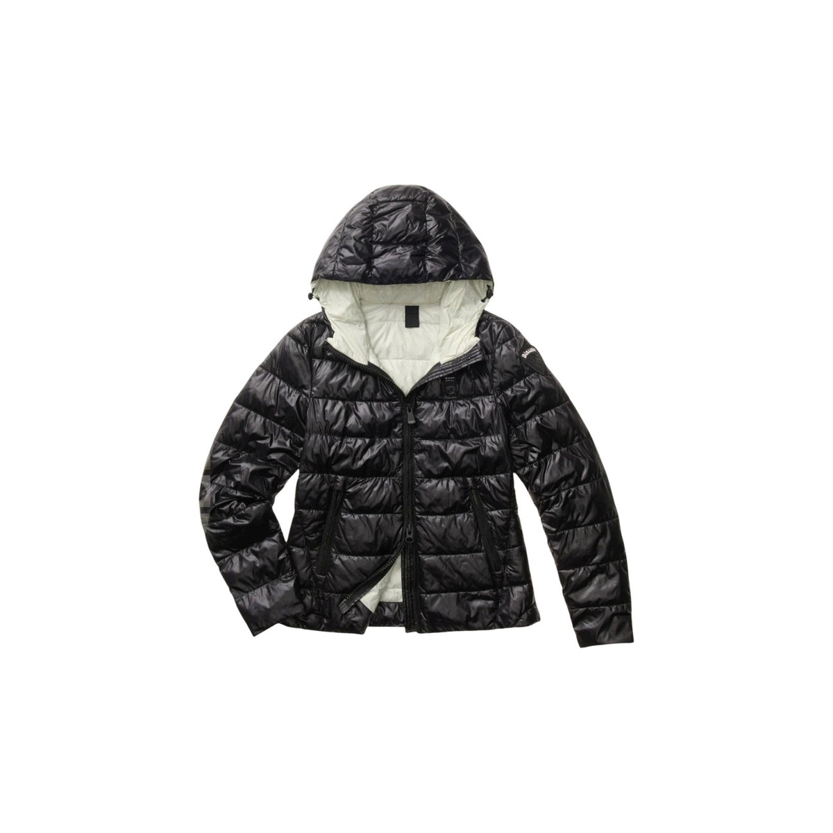 Blauer. Femme Jaquettes